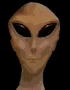 alien1.gif (14098 octets)