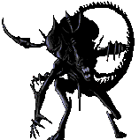alien14.gif (12146 octets)