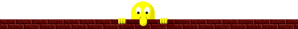 bar1.gif (8988 octets)