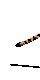 Cheetah.gif (7932 octets)