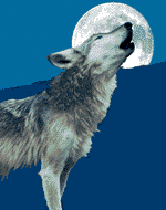 animal014.gif (22514 octets)