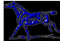 bluehorse.gif (8544 octets)