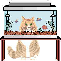 cataquarium.gif (26932 octets)
