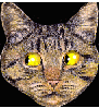 catennis.gif (42461 octets)