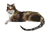 catla.gif (13787 octets)
