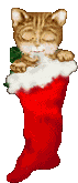 catsts.gif (26048 octets)
