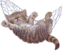 chat gif.gif (36086 octets)