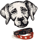 dog22.gif (5337 octets)