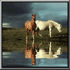 jhsmhorse.gif (68507 octets)